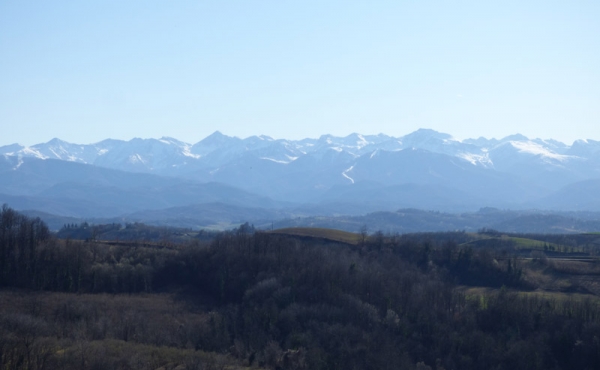 cascina_vendita_langhe (34)