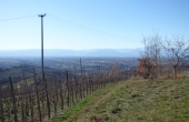 cascina_vendita_langhe (13)
