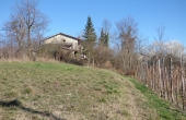 cascina_vendita_langhe (15)