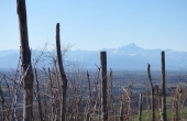 cascina_vendita_langhe (17)