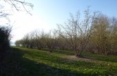 cascina_vendita_langhe (74)