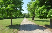 villa_vendita_langhe (12)