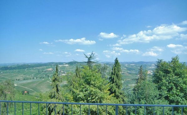 Appartamento mansardato Novello (19)