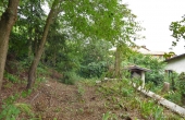 P1150939