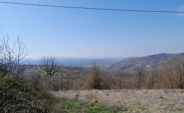 roascio-12
