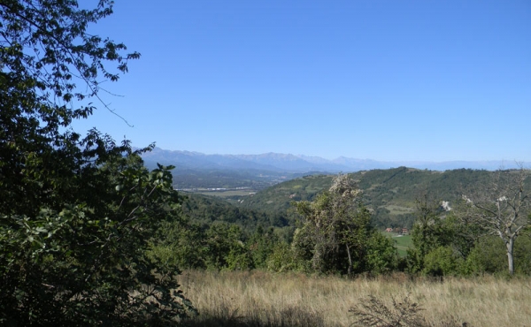 roascio-29