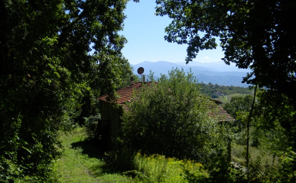 roascio-31
