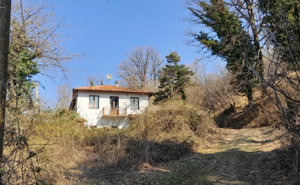 roascio-4
