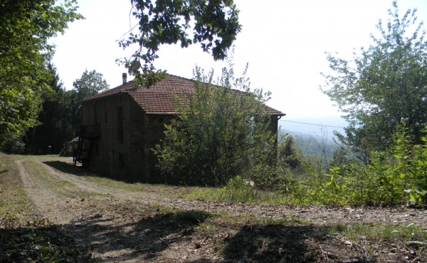 roascio-6
