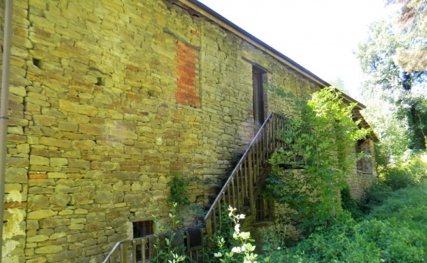 roascio-8