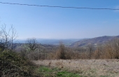 roascio-12