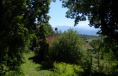 roascio-31