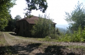 roascio-6
