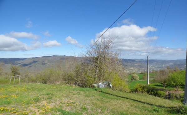 casa vendita langhe (103)