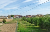 casa_vendita_piozzo (13)