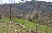 P1030354