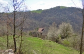 P1030355