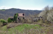 P1030356