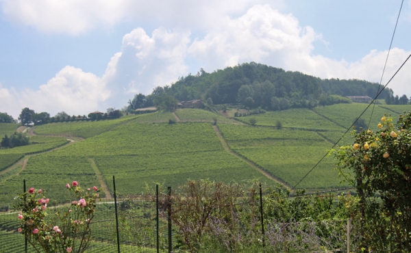 casa_vendita_novello (14)