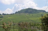 casa_vendita_novello (14)