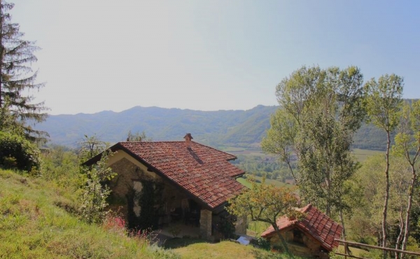 Esterni (16)