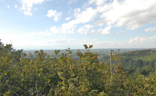 cascina_vendita_langhe-(26)