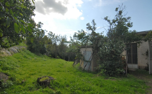 cascina_vendita_langhe-(35)