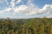cascina_vendita_langhe-(22)