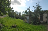 cascina_vendita_langhe-(35)