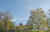 cascina_glamping_vendita_langhe (122)