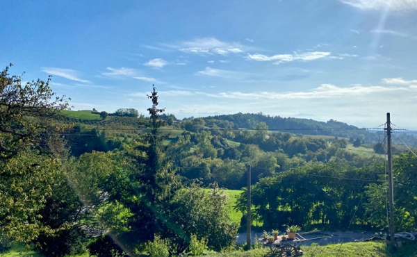 agriturismo vendita langhe (23)