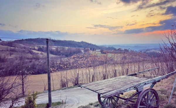 agriturismo vendita langhe (26)