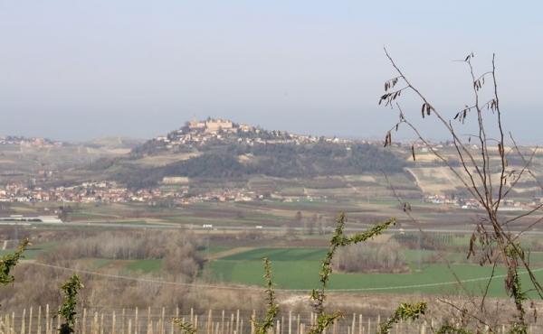 Casa_vendita_Neive (3)