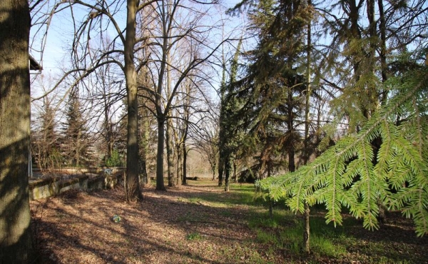 Casa_vendita_Neive (44)