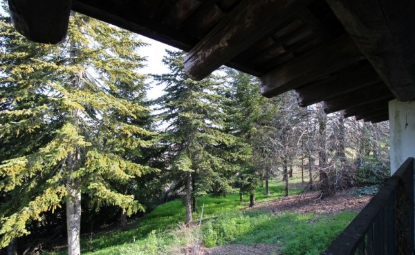 Casa_vendita_Neive (49)