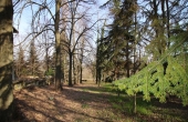 Casa_vendita_Neive (44)