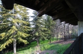 Casa_vendita_Neive (49)