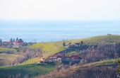 IMG_3352