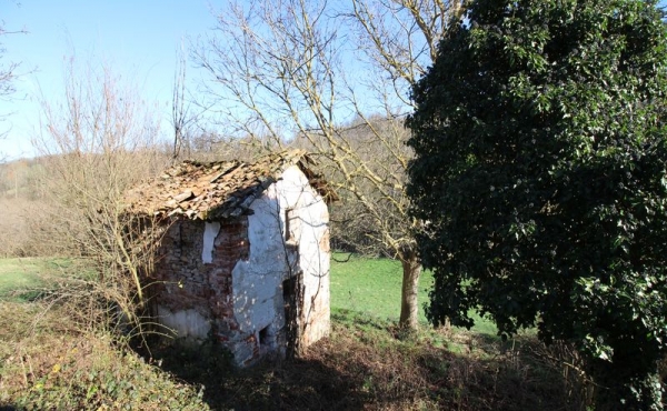 Cascina ex convento con terreno (57)