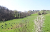 Cascina ex convento con terreno (115)
