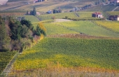 IMG_1956