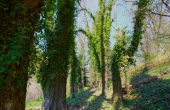 casa_vendita_pamparato (10)