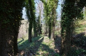 casa_vendita_pamparato (3)
