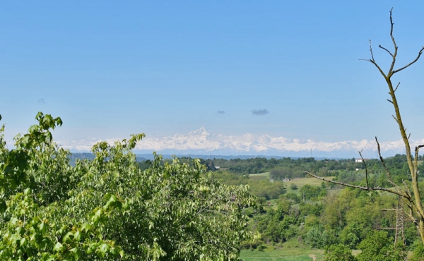 villa_vendita_monferrato (147)