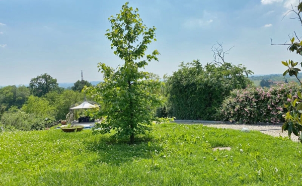 villa_vendita_monferrato (219)