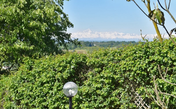 villa_vendita_monferrato (23)