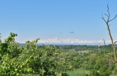 villa_vendita_monferrato (147)