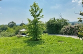 villa_vendita_monferrato (219)