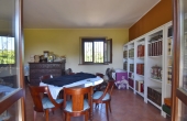 villa_vendita_monferrato (99)