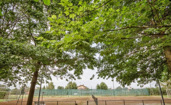 cascina_vendita (126)